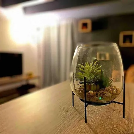 Cocon A Deux Pas Des Arenes - Charme & Confort *